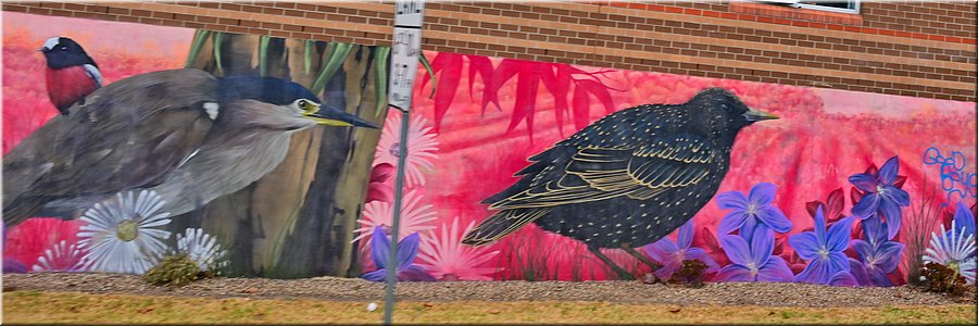 28-03-2024 - Melbourne -Street Art