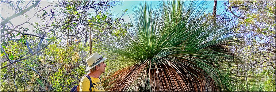 15-5-2024 - Mikkira Station - Giant yakka