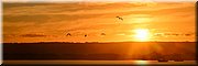 10-5-2024 - Port Lincoln - Billy Light's Point - zonsondergang
