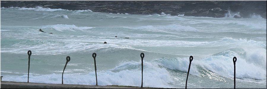 01 jan 2024 - Newcastle Beach