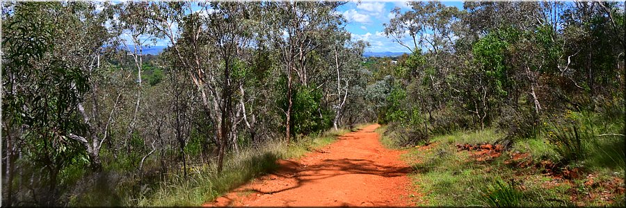 12 jan 2024 - Canberra - Red Hill Reserve