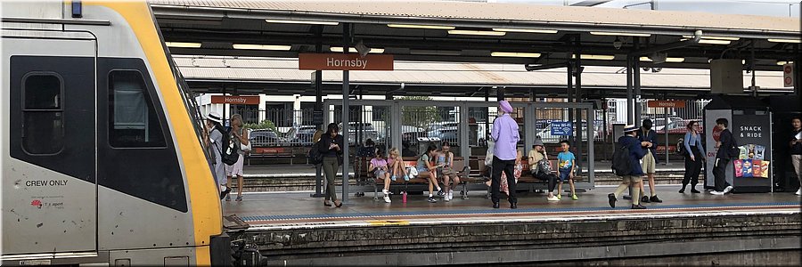 31 januari 2024 - Transfer St Ives (Sydney) naar Niagara Park