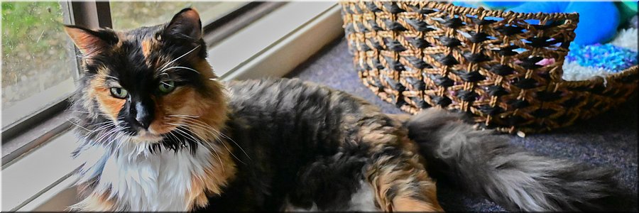 1 februari 2024 Niagara Park