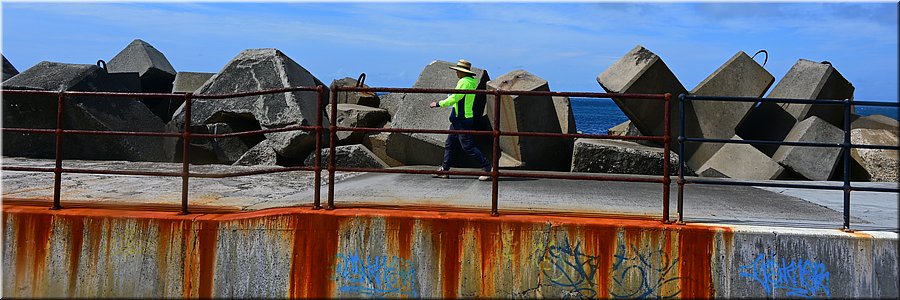 29-02-2024 - Wollongong - Verroest