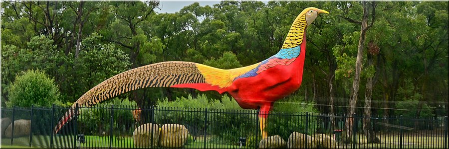 03-04-2024 -Tynong North - Gumbuya World Theme Park