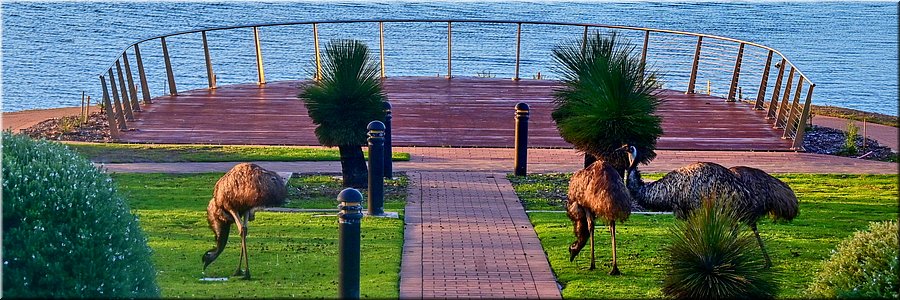 21-5-2024 - Coffin Bay - Esplanade