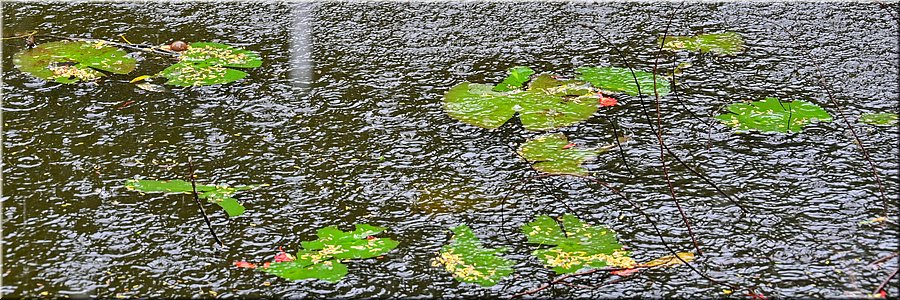 1 feb 2026
Suva (Fiji)
Rainforest Eco Lodge