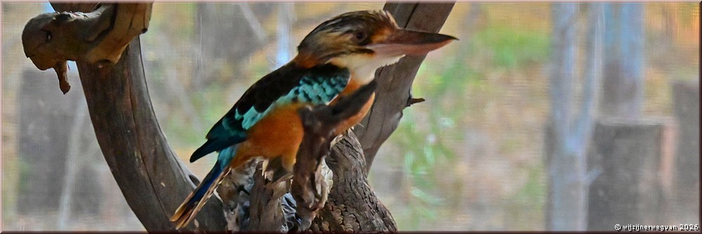 25/69