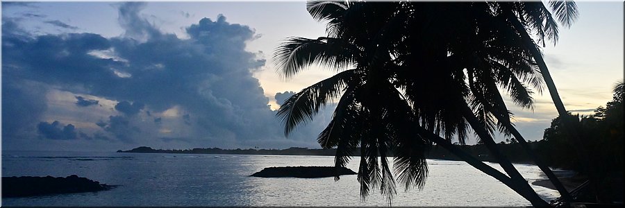 19 feb 2026
Manase (Savai'i)
Regina Beach Fales
De ochtend zit nog verscholen achter de horizon