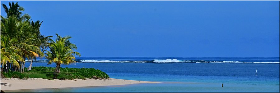 19 feb 2026
Manase (Savai'i)
Regina Beach Fales