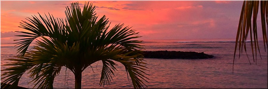 19 feb 2026
Manase (Savai'i)
Regina Beach Fales
Zonsondergang in de zuidzee