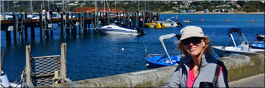 3-1-2026
Mornington Peninsula
Mornington
Haven