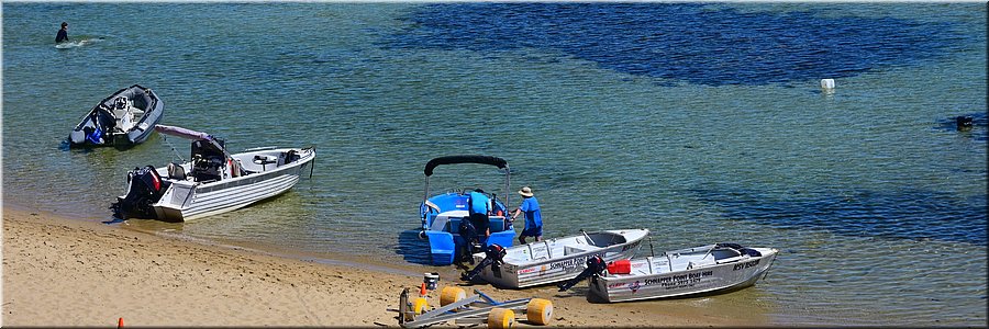 6-1-2026
Mornington Peninsula
Mornington
Definitie zot: de hele dag bij 40+ graden in een open bootje op zee gaan vissen