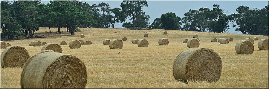 9-1-2026
Naar Bo Beep
Hooirollen