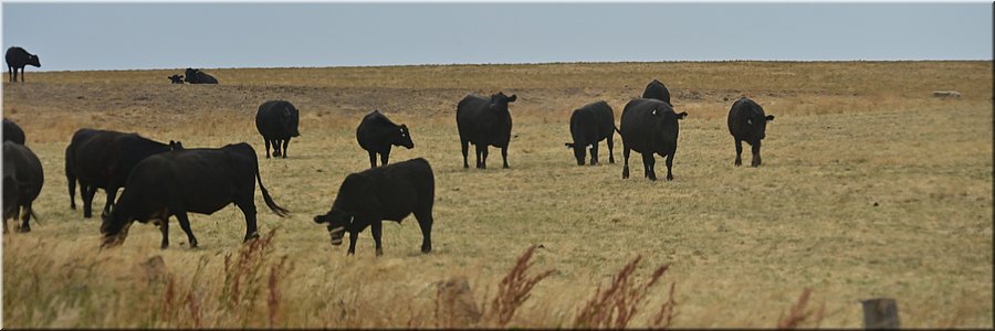 9-1-2026
Naar Bo Beep
Hooieters