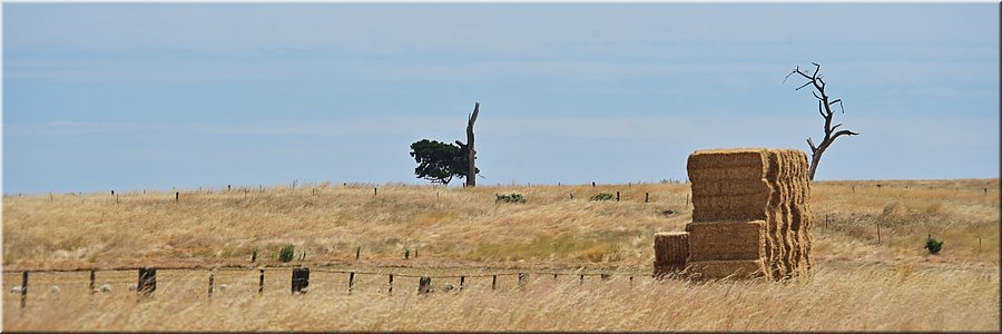 10-1-2026
Naar Ararat
Hooibalen