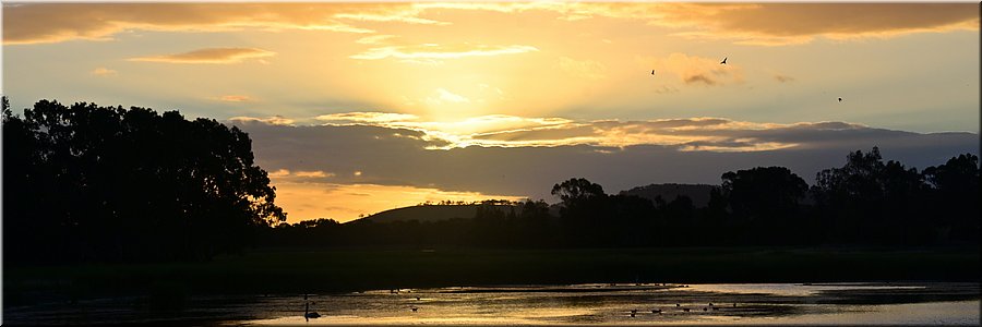 10-1-2026
Ararat (Vic)
Green Hill Lake Reserve