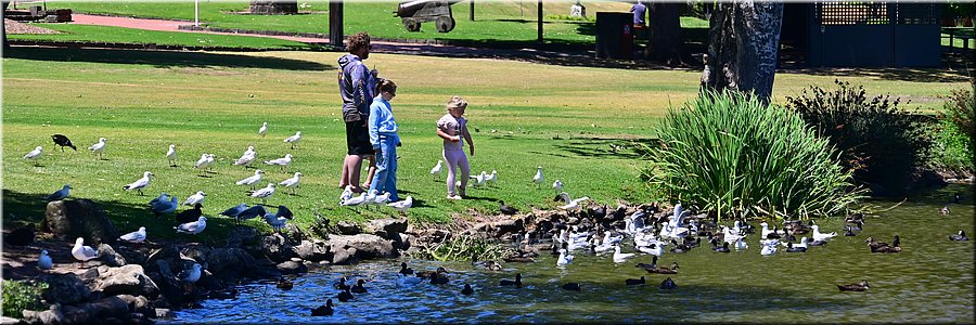 11-1-2026
Ararat (Vic)
Alexandra Gardens Park
Alexandra Lake