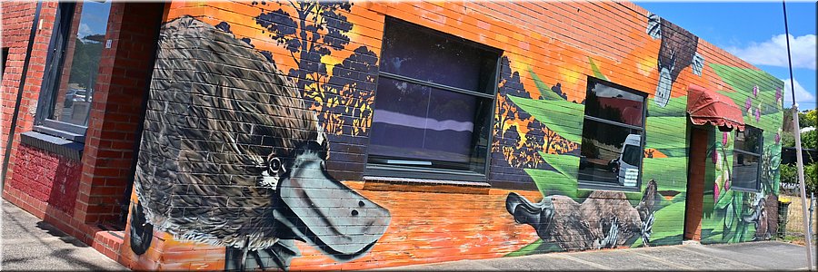 17-1-2026
Skipton
Muurkunst vogelbekdier