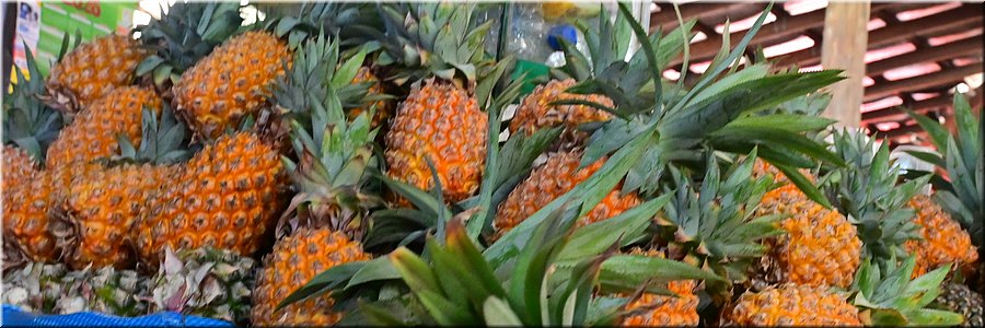 26 jan 2026
Nadi (Fiji)
Markt