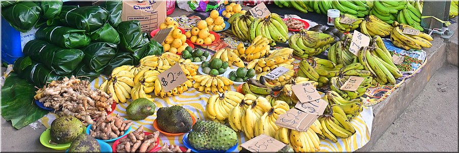 27 jan 2026
Nadi (Fiji)
Markt
Keep calm and go bananas