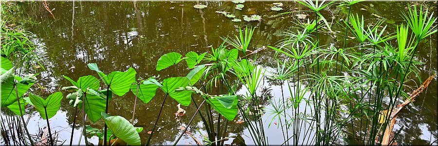 30 jan 2026
Suva (Fiji)
Rainforest Eco Lodge