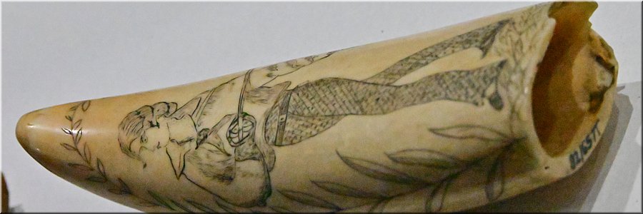 31 jan 2026
Suva (Fiji)
Fiji Museum