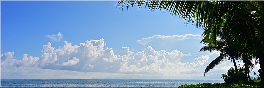 31 jan 2026
Suva (Fiji)