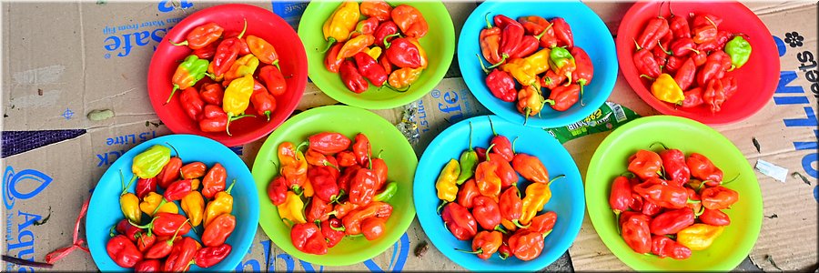 31 jan 2026
Suva (Fiji)
Markt