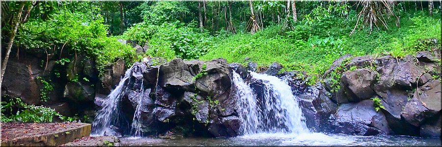 17 feb 2026
Apia (Samoa)
Waterval op de flank van Mount Vaea