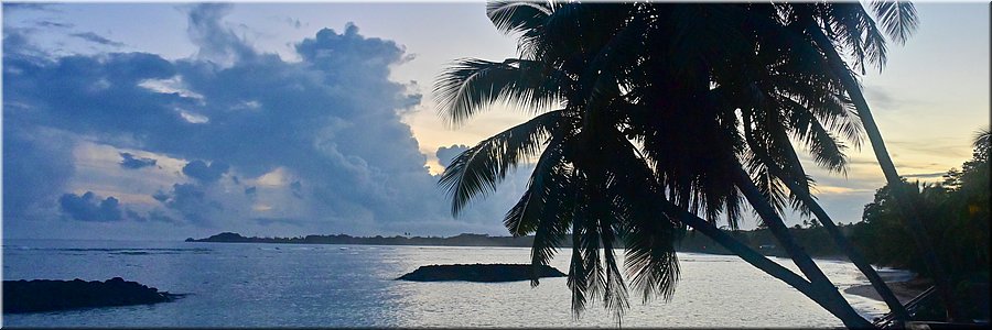 19 feb 2026
Manase (Savai'i)
Regina Beach Fales
De ochtend zit nog verscholen achter de horizon