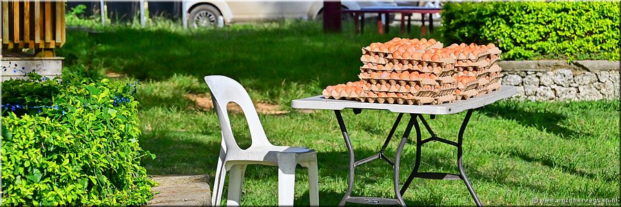 7 mrt 2026
Nuku'alofa (Tonga)
Straatwinkel