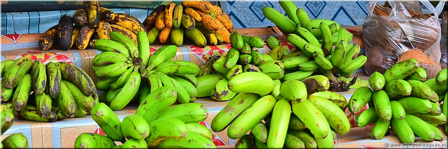 9 mrt 2026
Nuku'alofa (Tonga)
Vuna Road
Wegkraan