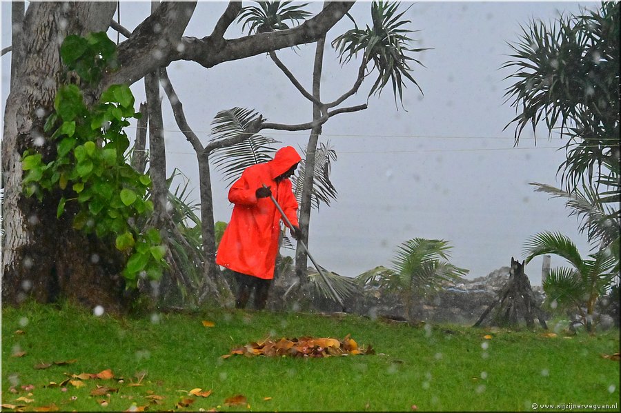 13 mrt 2026
Port Vila (Vanuatu)
Blue Pango Guest House
Ja, regen of geen regen, die bladeren moeten weg!
