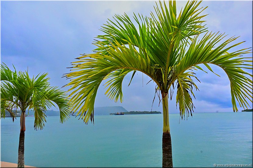 16 mrt 2026
Port Vila (Vanuatu)
Palmen aan zee