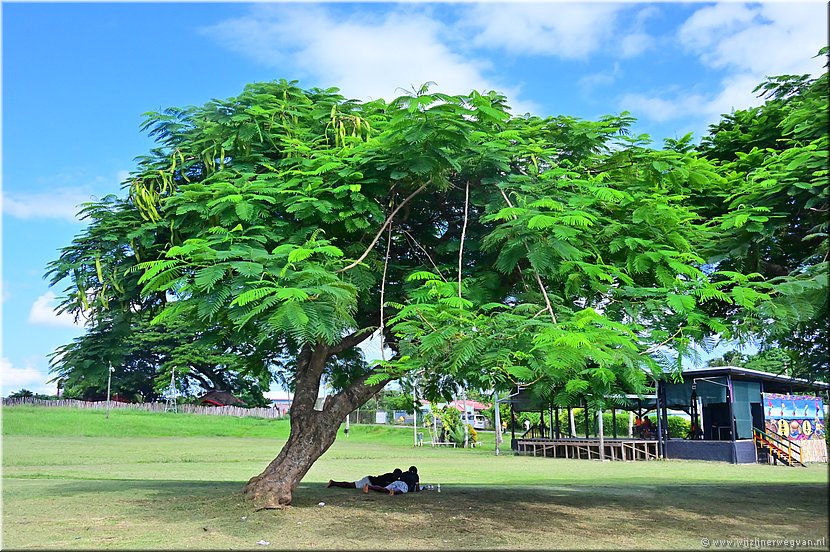 18 mrt 2026
Port Vila 
Saralana Park