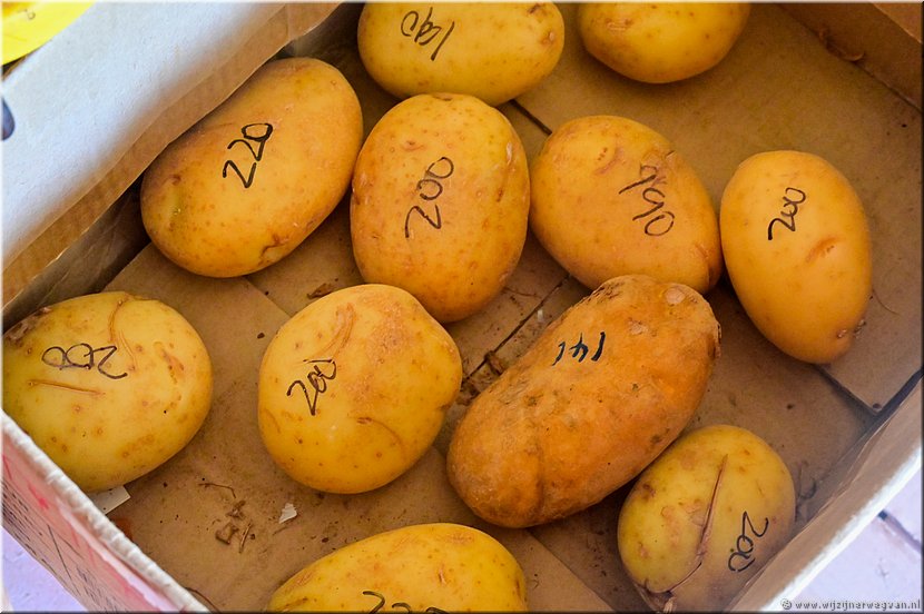 20 mrt 2026
Port Vila
Aardappelen per stuk (120 vatu = 1 euro)