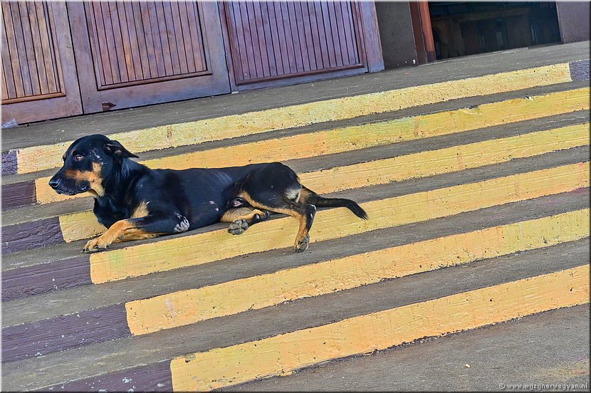 22 mrt 2026
Port Vila (Vanuatu)
Cathedrale de Sacre-Coeur 
(Kathedraal van het heilig hart)
Koel plekje