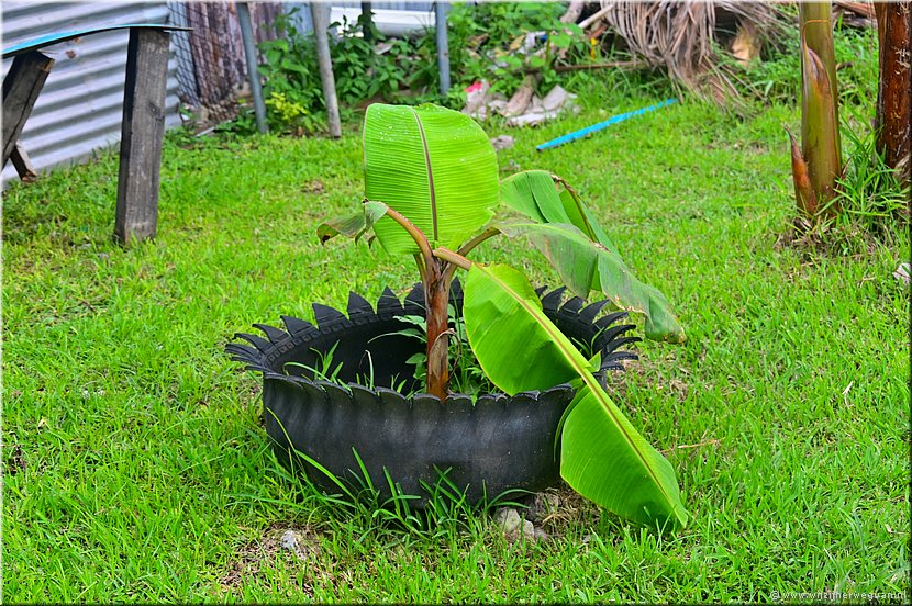 23 mrt 2026
Port Vila (Vanuatu)
Pango
Bandenpot