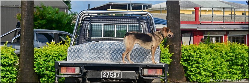 25 mrt 2026
Port Vila (Vanuatu)
Auto waakhond