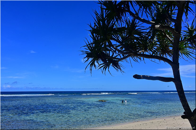 26 mrt 2026
Port Vila (Vanuatu)
Pango Surf Break