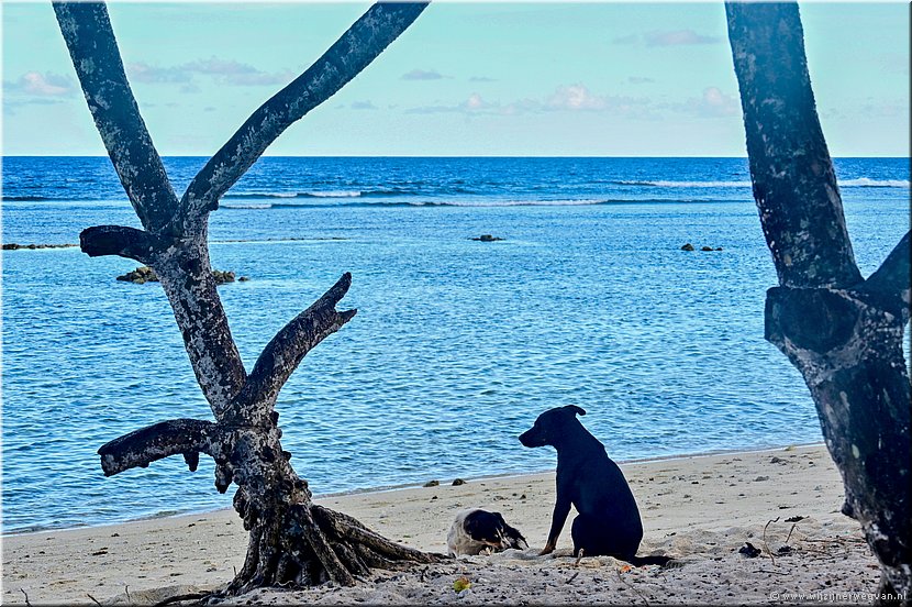 26 mrt 2026
Port Vila (Vanuatu)
Pango Surf Break