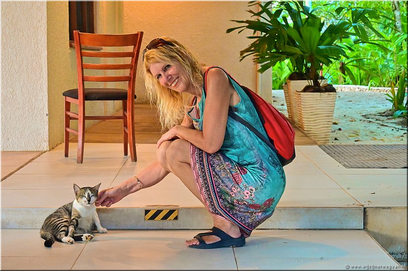 27 maart 2026
Port Vila (Vanuatu)
Breakas Beach Resort
Onze eerste poes in Vanuatu