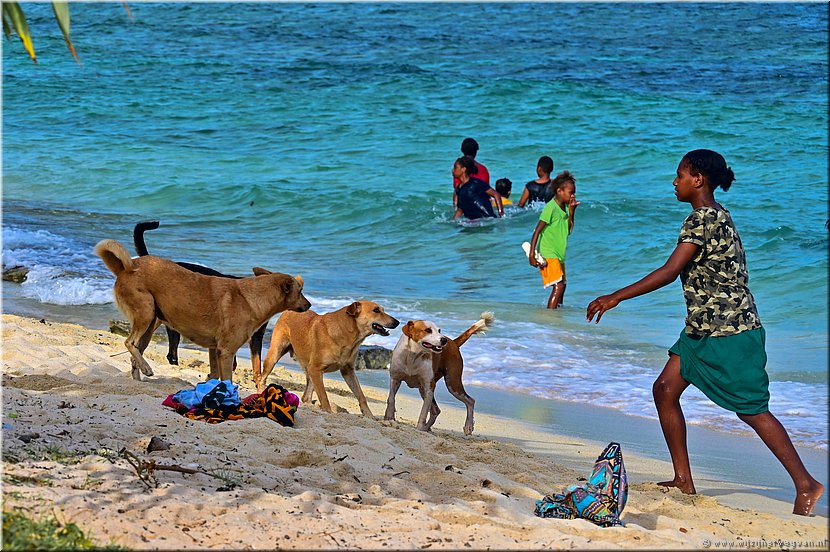 30 mrt 2026
Port Vila (Vanuatu)
Pango Surf Break
Speelhonden