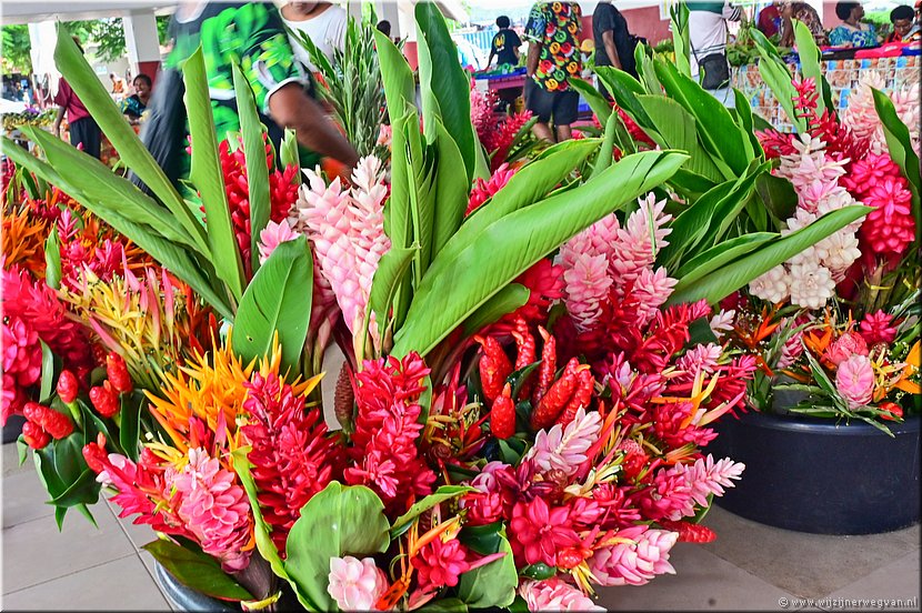 1 april 2026
Port Vila (Vanuatu)
Geluk is de kunst van het plukken van de bloemen waar je bij kunt