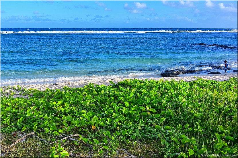 2 apr 2026
Port Vila (Vanuatu)
Pango Surf Break
Zee, strand, een jongetje en zijn schepje