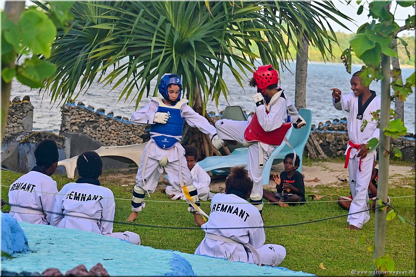 5 apr 2026
Port Vila (Vanuatu)
BluePango Guesthouse
Taekwondo lessen met Pasen