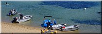 6-1-2026
Mornington Peninsula
Mornington
Definitie zot: de hele dag bij 40+ graden in een open bootje op zee gaan vissen