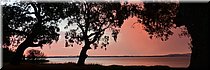 9-1-2026
Bopeep (Vic)
Lake Burrumbeet
Sunset