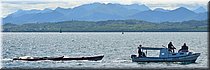 3 feb 2026
Suva (Fiji)
Suva Harbour